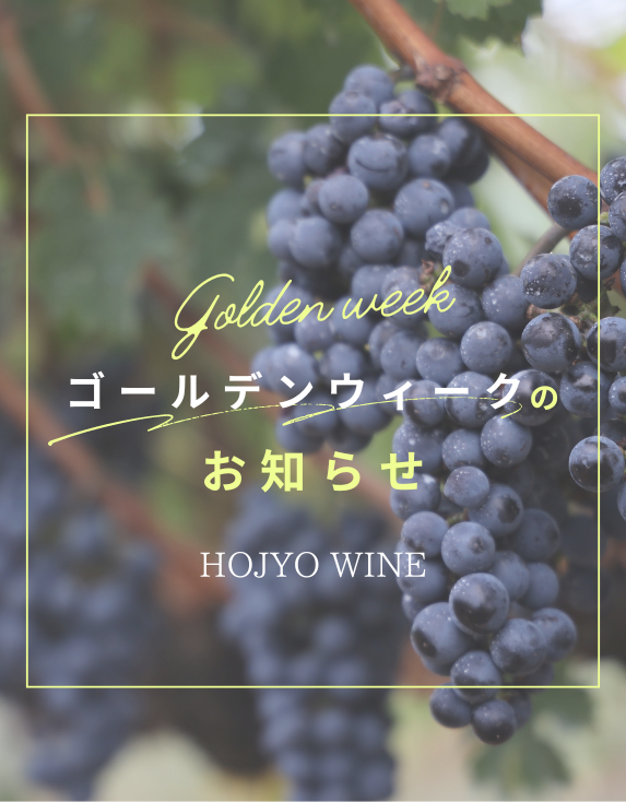 特集サムネイル